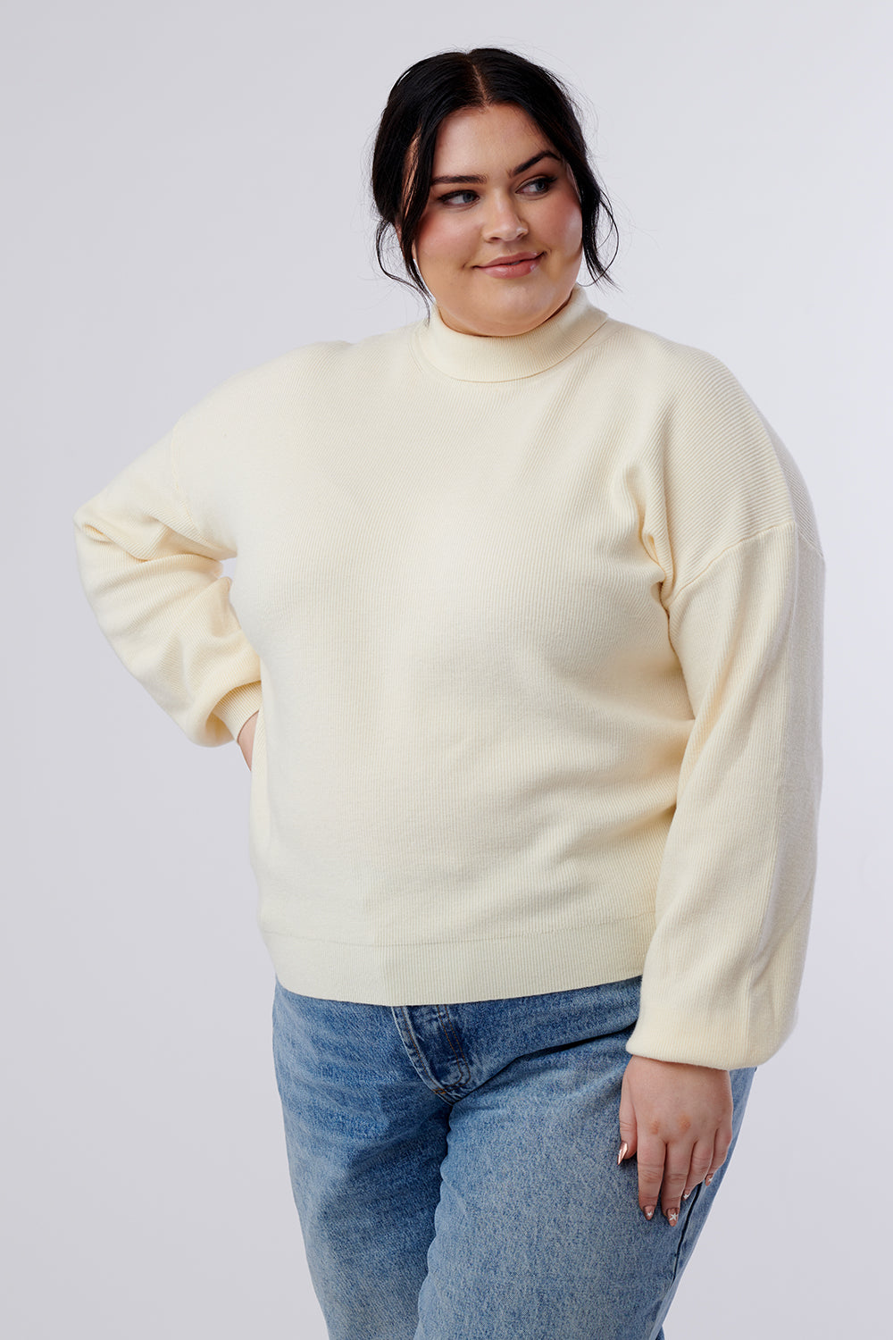 Jane Turtleneck Sweater Top