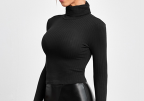 Basic Turtle Neck Knit Top